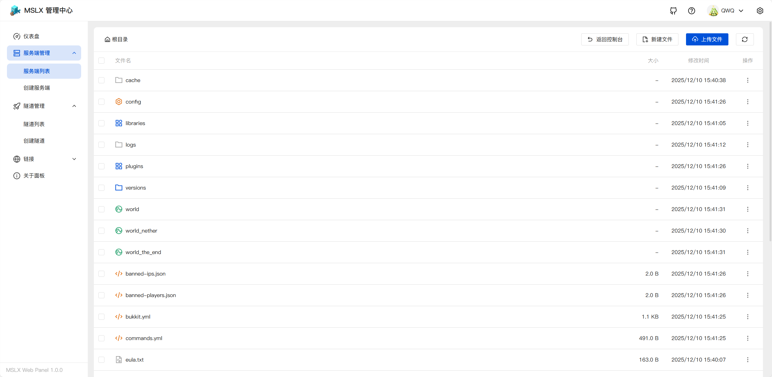 image-20251210155949601